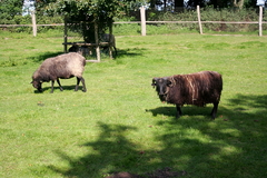 Killikus&reg; Fotographie